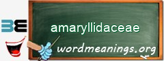 WordMeaning blackboard for amaryllidaceae